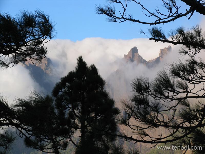 LaPalma (151).JPG